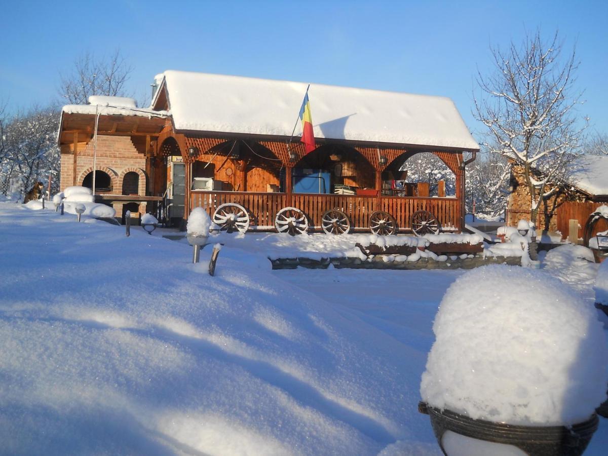 Pensiunea Roua Muntilor Sîmbăta de Sus Dış mekan fotoğraf