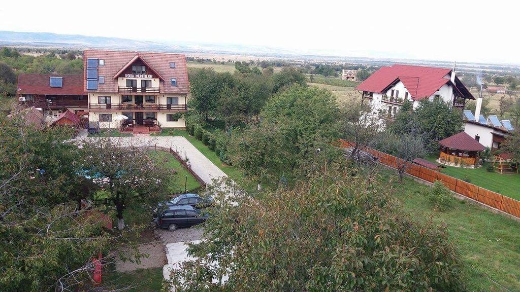 Pensiunea Roua Muntilor Sîmbăta de Sus Dış mekan fotoğraf