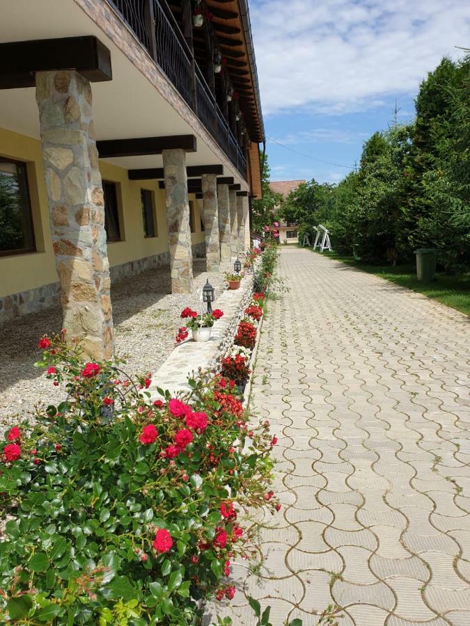 Pensiunea Roua Muntilor Sîmbăta de Sus Dış mekan fotoğraf